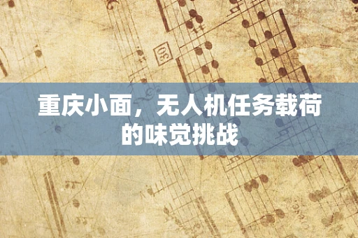 重庆小面，无人机任务载荷的味觉挑战