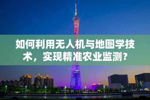 如何利用无人机与地图学技术，实现精准农业监测？