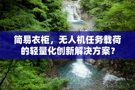 简易衣柜，无人机任务载荷的轻量化创新解决方案？
