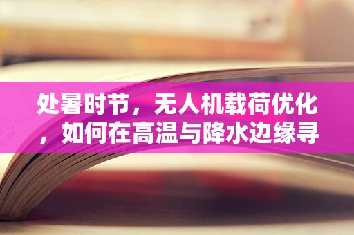 处暑时节，无人机载荷优化，如何在高温与降水边缘寻找最佳飞行策略？