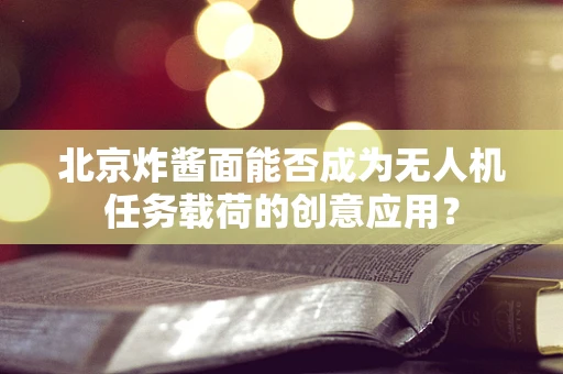 北京炸酱面能否成为无人机任务载荷的创意应用？