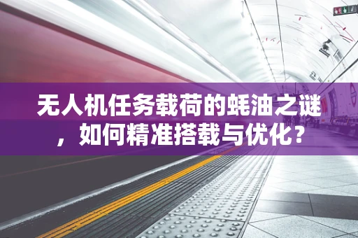 无人机任务载荷的蚝油之谜，如何精准搭载与优化？