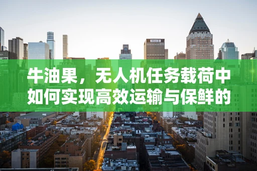牛油果，无人机任务载荷中如何实现高效运输与保鲜的挑战？