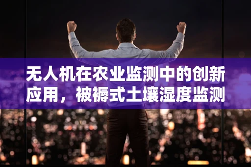 无人机在农业监测中的创新应用，被褥式土壤湿度监测技术挑战