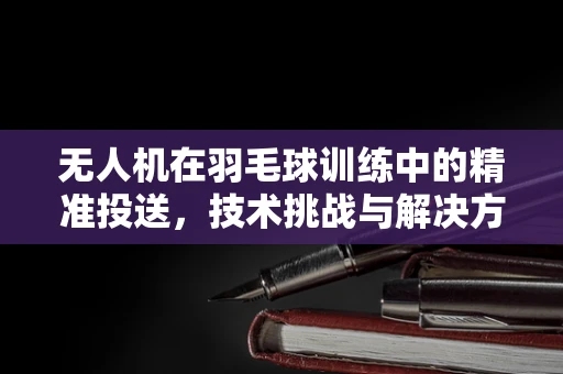 无人机在羽毛球训练中的精准投送，技术挑战与解决方案？