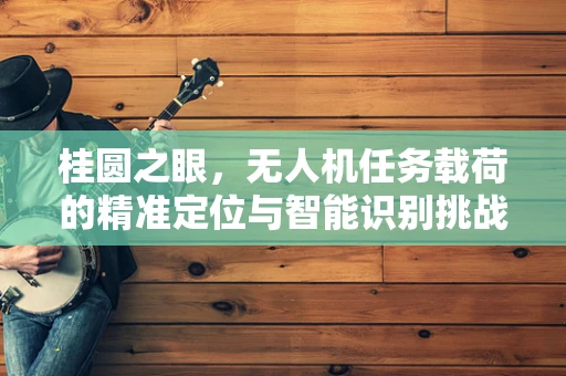桂圆之眼，无人机任务载荷的精准定位与智能识别挑战