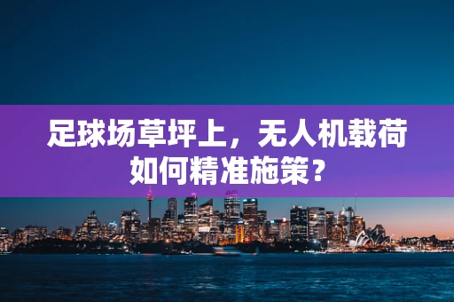 足球场草坪上，无人机载荷如何精准施策？