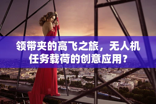 领带夹的高飞之旅，无人机任务载荷的创意应用？