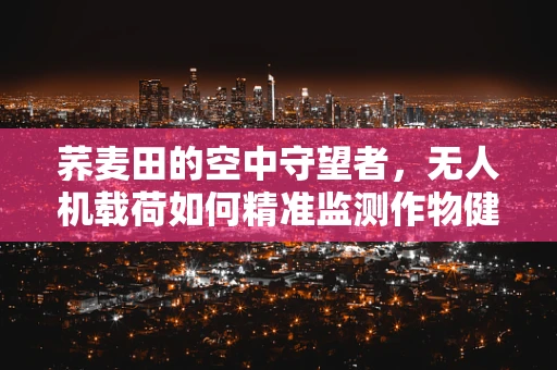 荞麦田的空中守望者，无人机载荷如何精准监测作物健康？