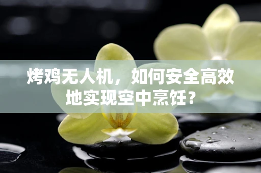 烤鸡无人机，如何安全高效地实现空中烹饪？