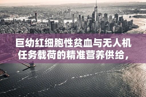 巨幼红细胞性贫血与无人机任务载荷的精准营养供给，技术挑战与解决方案？