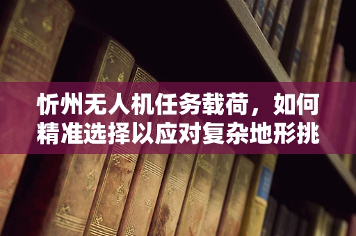 忻州无人机任务载荷，如何精准选择以应对复杂地形挑战？