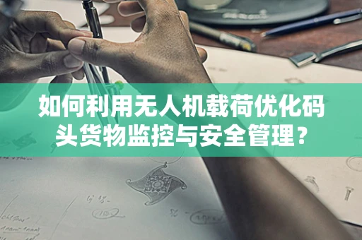 如何利用无人机载荷优化码头货物监控与安全管理？