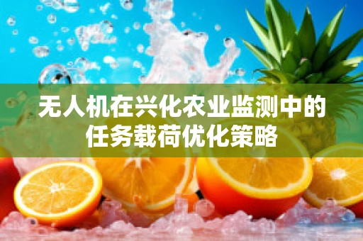 无人机在兴化农业监测中的任务载荷优化策略
