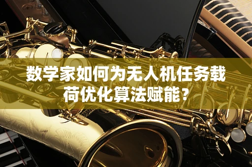 数学家如何为无人机任务载荷优化算法赋能？