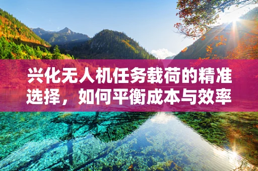 兴化无人机任务载荷的精准选择，如何平衡成本与效率？