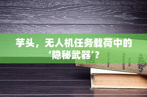 芋头，无人机任务载荷中的‘隐秘武器’？