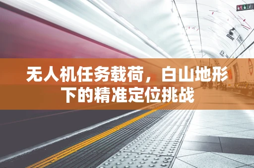 无人机任务载荷，白山地形下的精准定位挑战