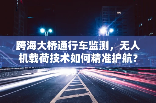 跨海大桥通行车监测，无人机载荷技术如何精准护航？