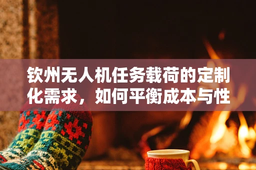 钦州无人机任务载荷的定制化需求，如何平衡成本与性能？