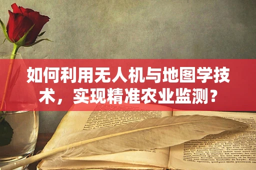 如何利用无人机与地图学技术，实现精准农业监测？