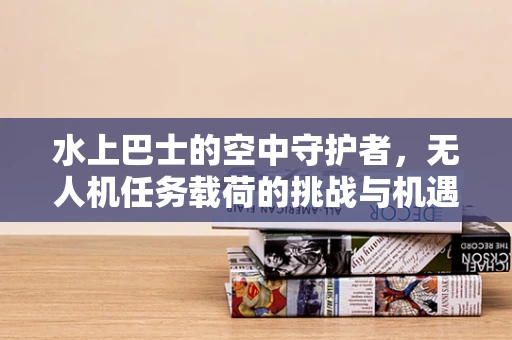 水上巴士的空中守护者，无人机任务载荷的挑战与机遇