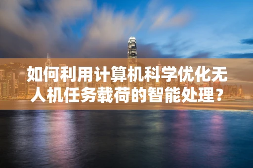 如何利用计算机科学优化无人机任务载荷的智能处理？