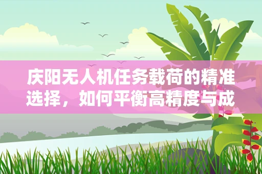 庆阳无人机任务载荷的精准选择，如何平衡高精度与成本效益？