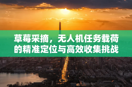 草莓采摘，无人机任务载荷的精准定位与高效收集挑战