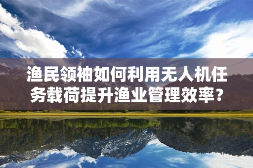 渔民领袖如何利用无人机任务载荷提升渔业管理效率？