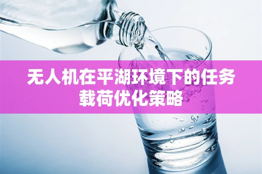 无人机在平湖环境下的任务载荷优化策略