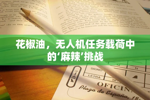 花椒油，无人机任务载荷中的‘麻辣’挑战