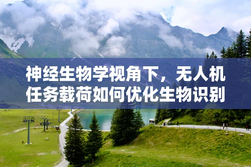 神经生物学视角下，无人机任务载荷如何优化生物识别能力？