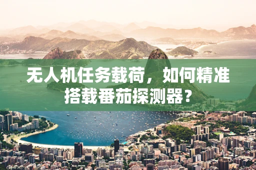无人机任务载荷，如何精准搭载番茄探测器？