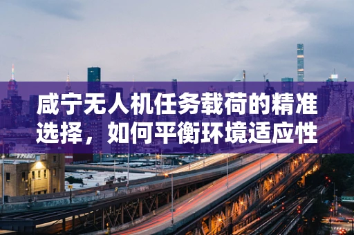 咸宁无人机任务载荷的精准选择，如何平衡环境适应性与任务效率？
