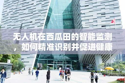 无人机在西瓜田的智能监测，如何精准识别并促进健康生长？