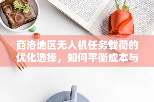 商洛地区无人机任务载荷的优化选择，如何平衡成本与效率？