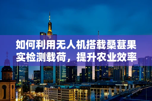 如何利用无人机搭载桑葚果实检测载荷，提升农业效率？
