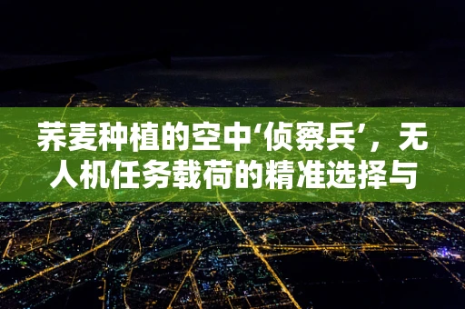 荞麦种植的空中‘侦察兵’，无人机任务载荷的精准选择与应用