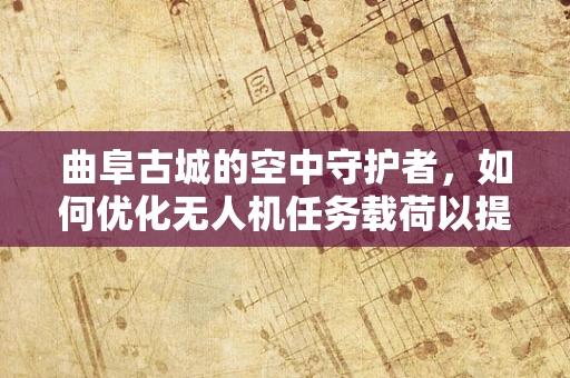 曲阜古城的空中守护者，如何优化无人机任务载荷以提升文化遗产保护效率？