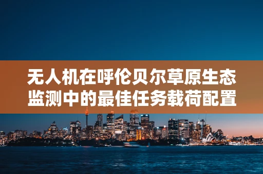 无人机在呼伦贝尔草原生态监测中的最佳任务载荷配置方案探讨