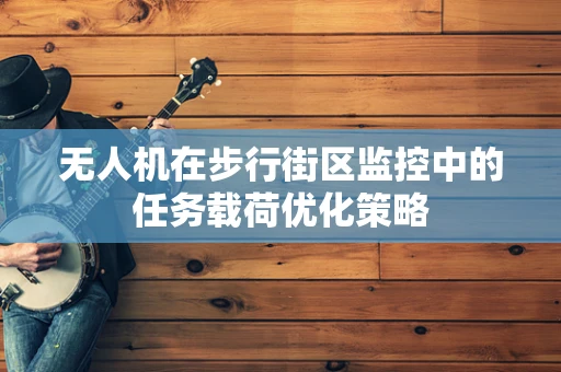 无人机在步行街区监控中的任务载荷优化策略