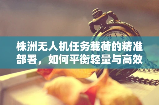株洲无人机任务载荷的精准部署，如何平衡轻量与高效？