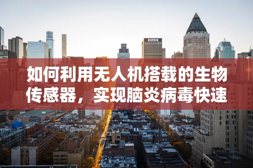如何利用无人机搭载的生物传感器，实现脑炎病毒快速检测？