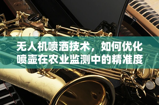 无人机喷洒技术，如何优化喷壶在农业监测中的精准度？