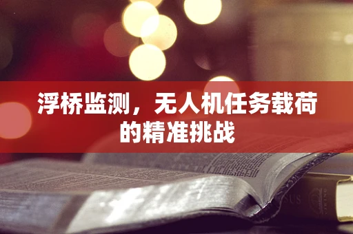 浮桥监测，无人机任务载荷的精准挑战
