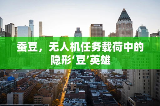 蚕豆，无人机任务载荷中的隐形‘豆’英雄