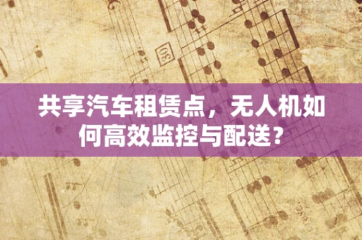 共享汽车租赁点，无人机如何高效监控与配送？