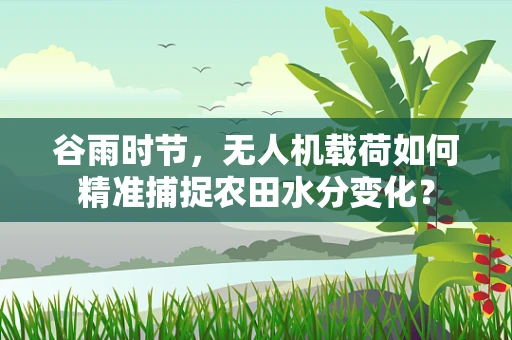 谷雨时节，无人机载荷如何精准捕捉农田水分变化？