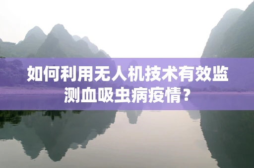 如何利用无人机技术有效监测血吸虫病疫情？